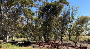 Belalie Wines - Image 3