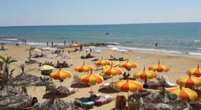 Il gelsomino - Image 3