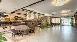 Hotel Bansko SPA & Holidays - Free Parking - Image 4
