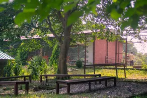 Pong Retreat - Image 4