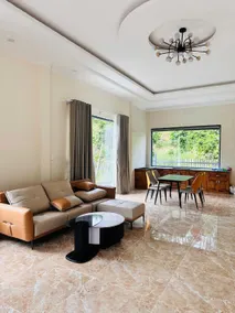 Ngôi nhà xinh trong rừng thông - Image 2