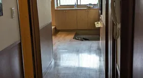 いちごハウス - Image 3