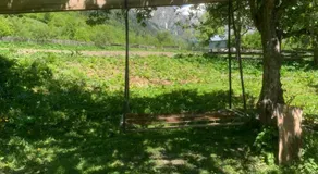 Guest house Terrassa Tvebishi - Image 4
