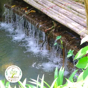 Baan Rai Me Rak Organic Farmstay - Image 5