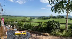 Betula Views - Image 4