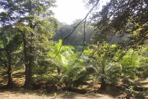 Goldeer Haven - Image 5