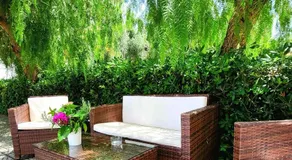 Domus Olea - Image 3