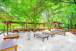 Muju Gucheondong Caravan - Image 3