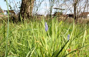 Ferienwohnungen Berner - Image 3