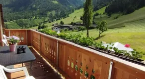 Mooslechnerhof - Image 4