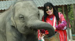 Elephant Jungle Eco Stay Chiang Mai - Image 1