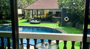 Tropical Palm - Image 5