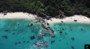Glicine - Image 3