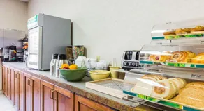 Quality Inn & Suites Montrose - Black Canyon Area - Image 5