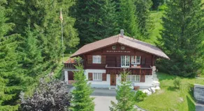 Bijou Spatz TWO near Oeschinen Lake - Image 2