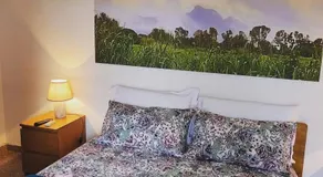 Il Giardino dei semplici - Image 2