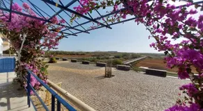 LA VELA - Image 4