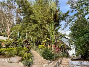 Seattle Garden - Image 4