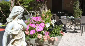 Hôtel Les Palmiers - Image 5