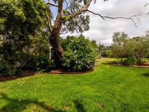 Balnarring Botanical Cottage - Image 5