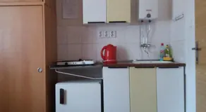 Zotavovna Kvilda - Image 4