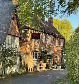 The Red Lion - Image 2