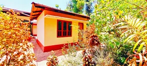 Walnut Estate Stay - Image 3