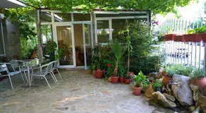 House of Flowers - Image 2
