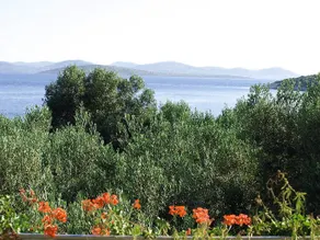 Franka - Image 3