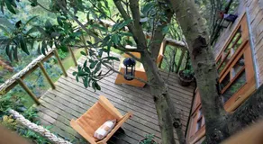 La Casa Del Árbol De Chiloé - Image 3
