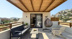 Yucca Calma - Image 3
