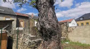 La Cascade verte /Appartement /jardin /parking - Image 5