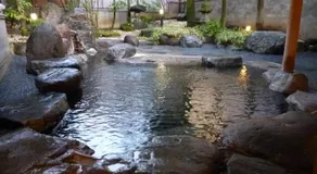 Yudanaka Tawaraya Ryokan - Image 4