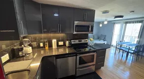 High-end 1BR, 2nd floor, near T, free parking - Image 4