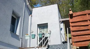 Grüner Blick - Image 5