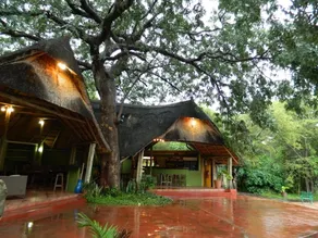 Kwalape Safari Lodge - Image 4