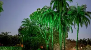 Pousada Vila Leopoldina - Image 3