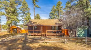 Cozy Cabin in the Pines w Grill Outdoor Dining - Image 4