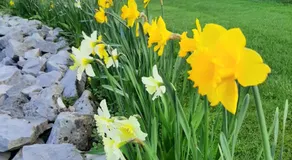 Bunratty Haven Bed & Breakfast - Image 5