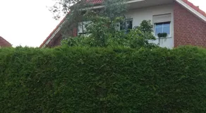 Ruhiges Zimmer direkt an den Leineauen - Image 5