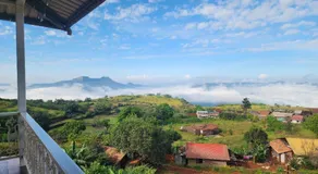 Honey Villa - Image 2
