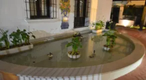 CARMIN Alpujarras & Costa Tropical - Image 2