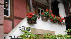 La Maison de Caroline - Image 5