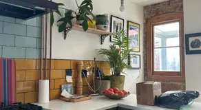 House by the sea with four cats and two little dogs - Image 2