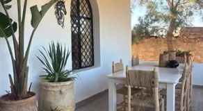 PARADISO Horse Club - Image 4