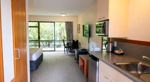 Punga Grove - Image 2