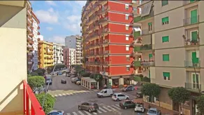 B&B Tanese - Image 3