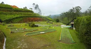 The Eight at Willows - Image 3