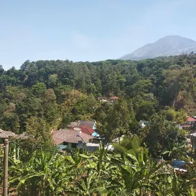Villa Segi Delapan Tretes Trawas - Image 4