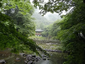 EUNHYE Family Hotel - Image 3